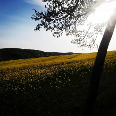 Varga Guest house *