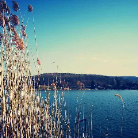 Varga