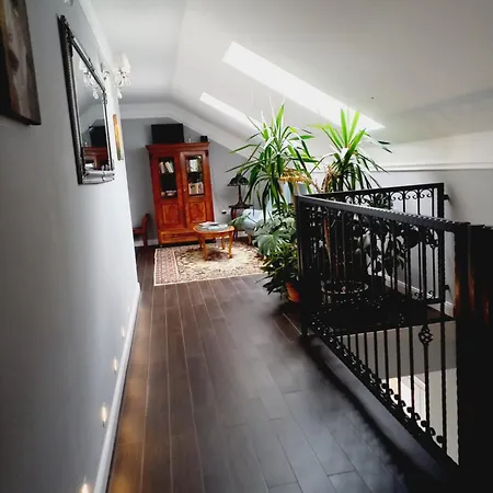Varga Guest house