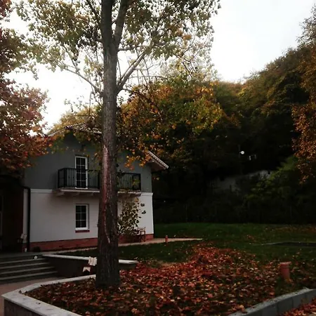 Varga *