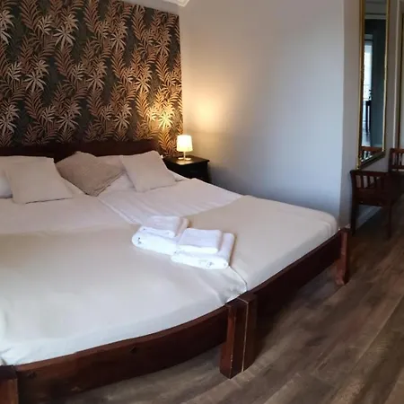 Varga Guest house *